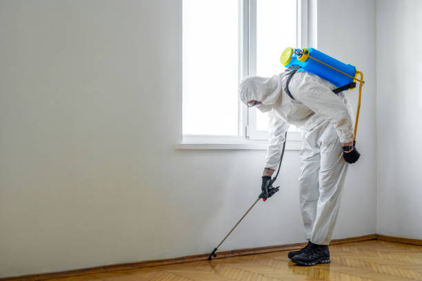 Emergency Pest Control in Fennville, MI